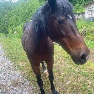 Meet your Posher, Kalie